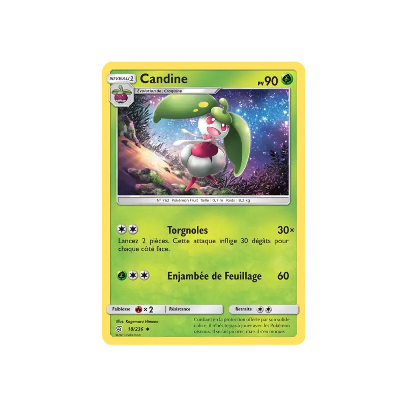 Candine UNM - 018/236