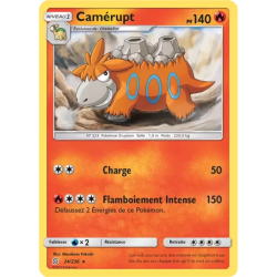 Camérupt UNM - 024/236