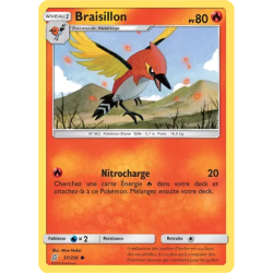 Braisillon UNM - 031/236