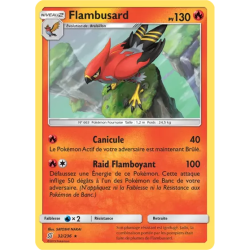 Flambusard UNM - 032/236