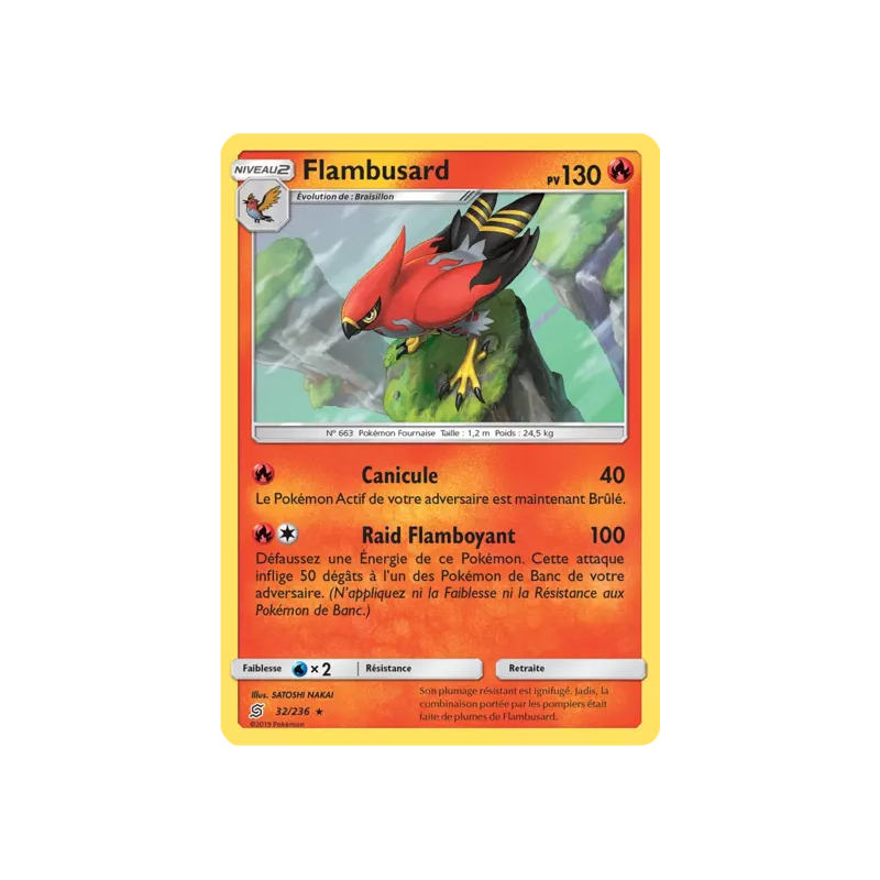 Flambusard UNM - 032/236