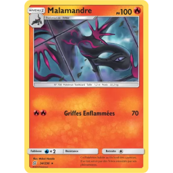 Malamandre UNM - 034/236