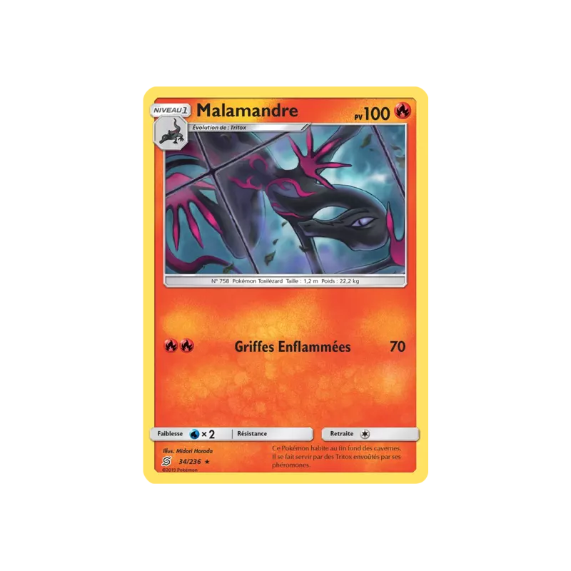 Malamandre UNM - 034/236