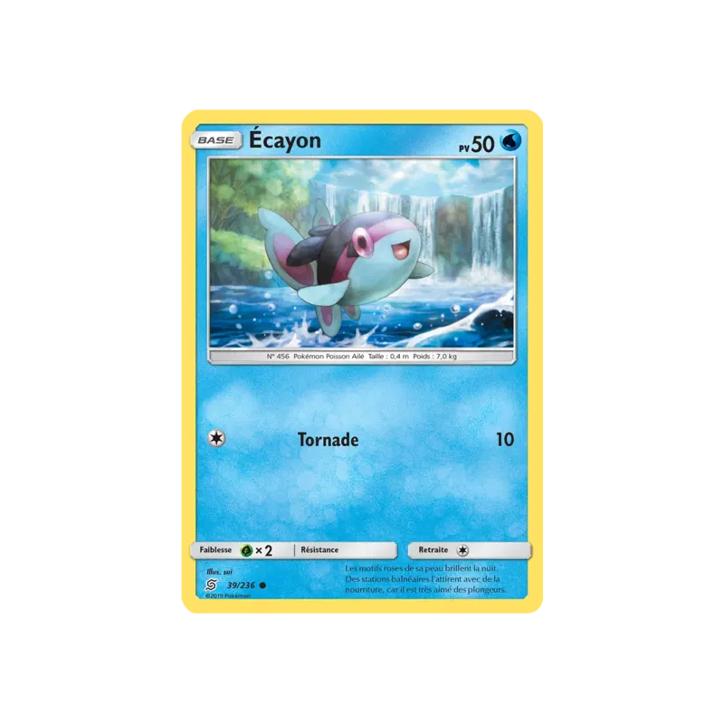 Écayon UNM - 039/236