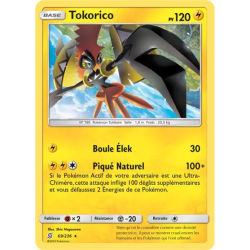 Tokorico UNM - 069/236