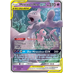 Mewtwo et Mew Escouade UNM - 071/236