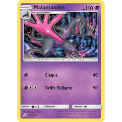 Malamandre UNM - 099/236