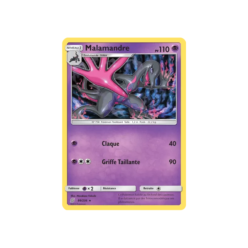 Malamandre UNM - 099/236