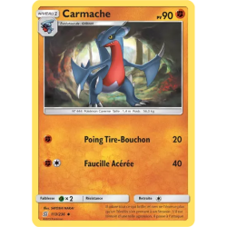 Carmache UNM - 113/236