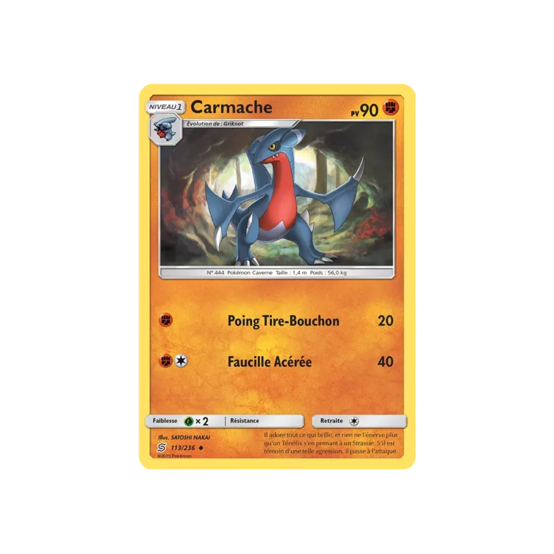 Carmache UNM - 113/236