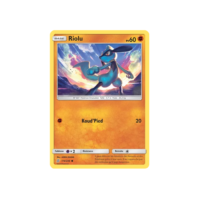 Riolu UNM - 116/236