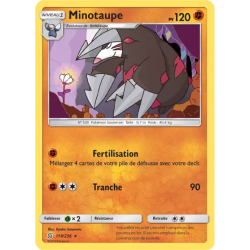 Minotaupe UNM - 119/236