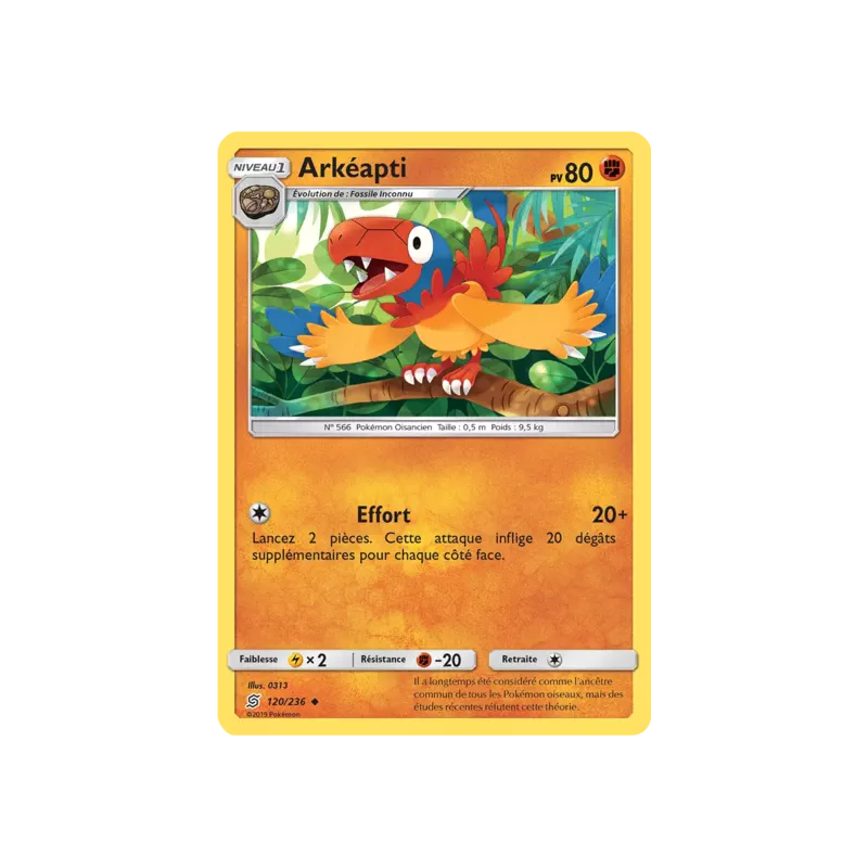 Arkéapti UNM - 120/236
