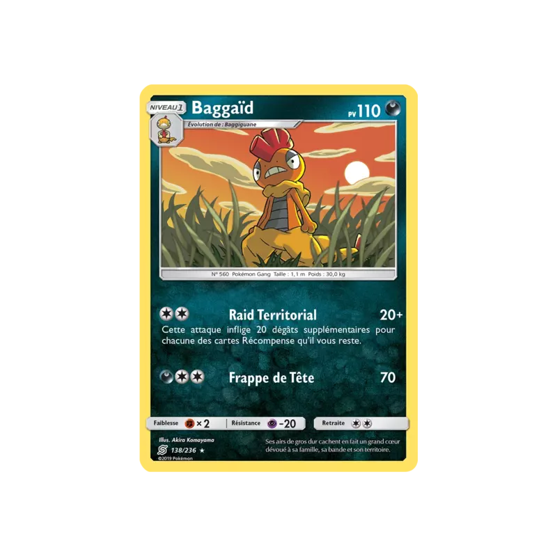 Baggaïd UNM - 138/236