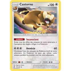 Castorno UNM - 172/236