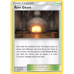 Âtre Géant UNM - 197/236