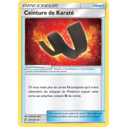 Ceinture de Karaté UNM - 201/236