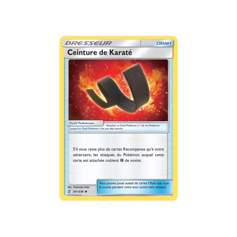 Ceinture de Karaté UNM - 201/236