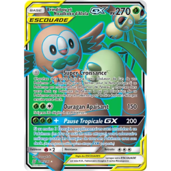 Brindibou et Noadkoko d'Alola Escouade UNM - 214/236