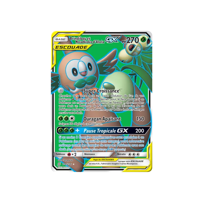 Brindibou et Noadkoko d'Alola Escouade UNM - 214/236
