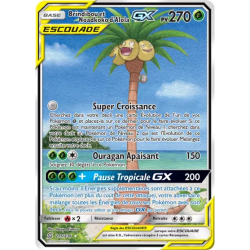 Brindibou et Noadkoko d'Alola Escouade UNM - 215/236