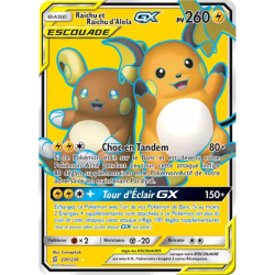 Raichu et Raichud'Alola Escouade UNM - 220/236