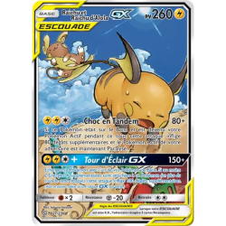 Raichu et Raichu d'Alola Escouade UNM - 221/236