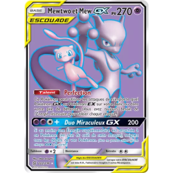 Mewtwo et Mew Escouade UNM - 222/236