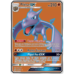 Ptéra GX UNM - 224/236