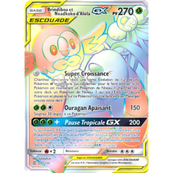Brindibou et Noadkoko d'Alola Escouade UNM - 237/236