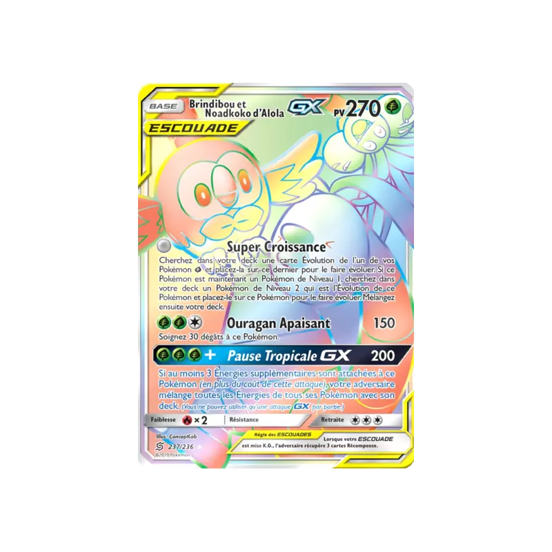 Brindibou et Noadkoko d'Alola Escouade UNM - 237/236