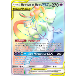 Mewtwo et Mew Escouade UNM - 242/236