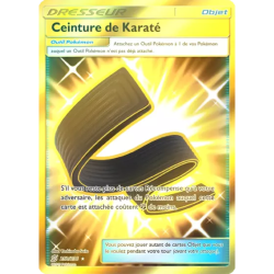 Ceinture de Karaté UNM - 252/236