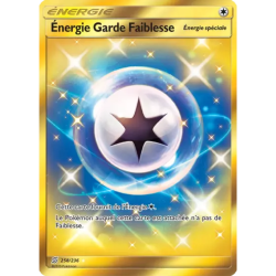 Énergie Garde Faiblesse UNM - 258/236