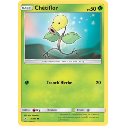 Chétiflor UNB - 013/214