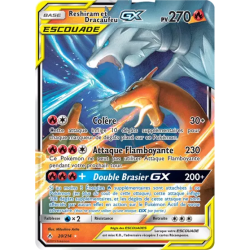 Reshiram et Dracaufeu Escouade UNB - 020/214