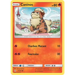 Caninos UNB - 021/214