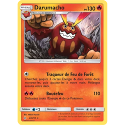 Darumacho UNB - 024/214