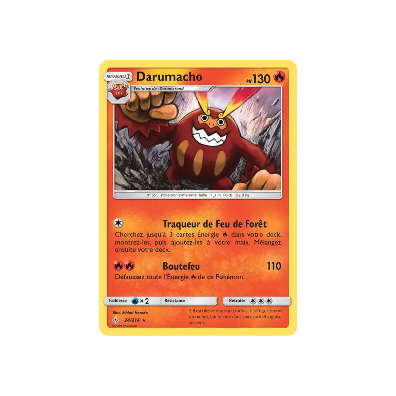 Darumacho UNB - 024/214