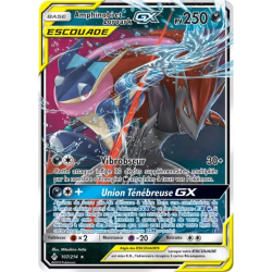 Amphinobi et Zoroark Escouade UNB - 107/214