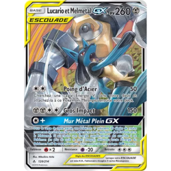 Lucario et Melmetal Escouade UNB - 120/214