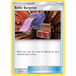 Boîte Surprise UNB - 187/214