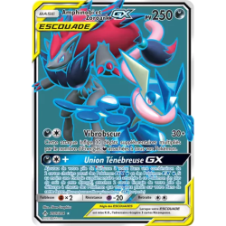 Amphinobi et Zoroark Escouade UNB - 200/214