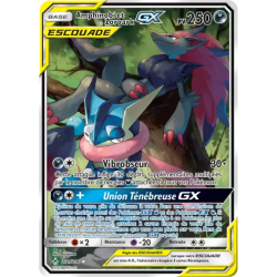 Amphinobi et Zoroark Escouade UNB - 201/214
