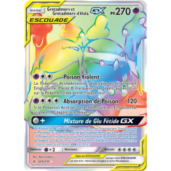 Grotadmorv et Grotadmorv d'Alola Escouade UNB - 220/214