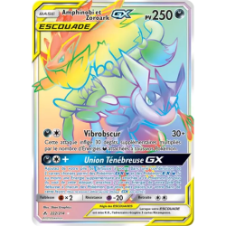 Amphinobi et Zoroark Escouade UNB - 222/214
