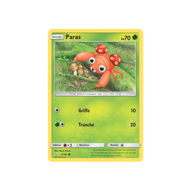 Paras TEU - 006/181