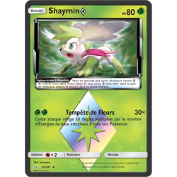 Shaymin TEU - 010/181