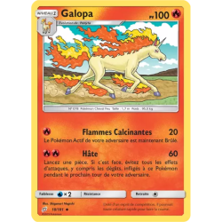 Galopa TEU - 018/181