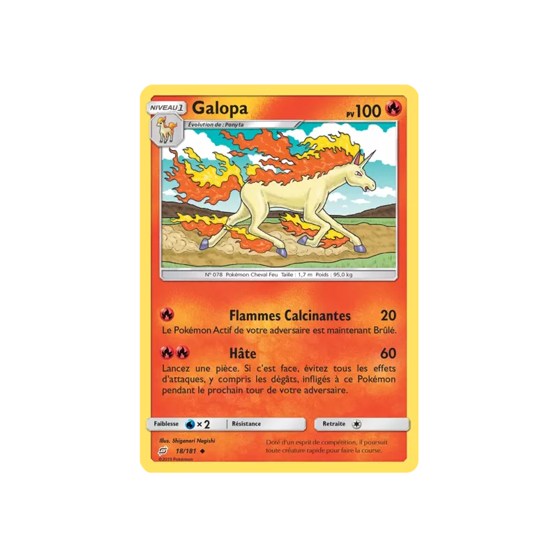 Galopa TEU - 018/181